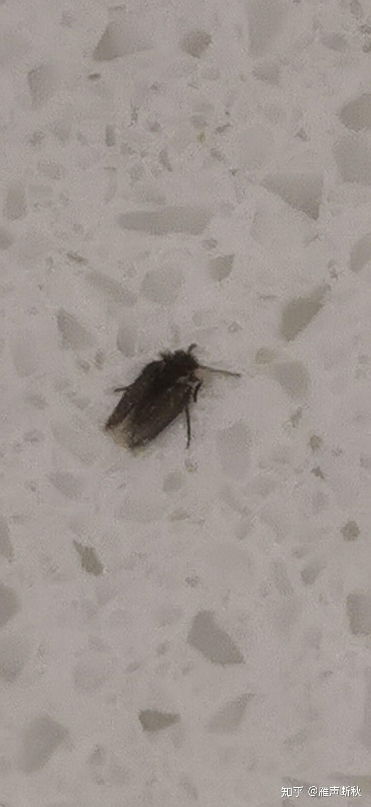 第349页