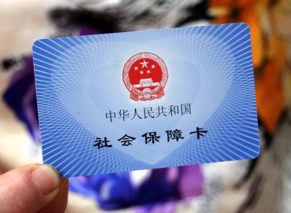 第1113页